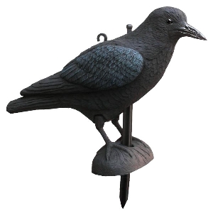 AKAH Appâts pour la chasse von AKAH Lockvogel Krähe 71620000