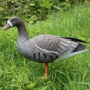 Équipement de chasse pour territoire de chasse et activités de plein air von AKAH Appât pour oies blanches 71681000