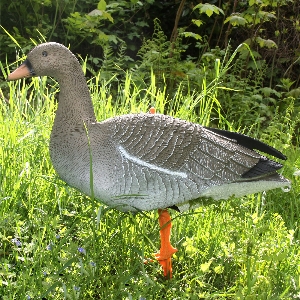Équipement de chasse pour territoire de chasse et activités de plein air von AKAH Lockvogel Saatgans 71682000