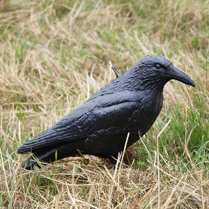 AKAH Appâts pour la chasse von AKAH Lockvogel Krähe unbemalt 71683000
