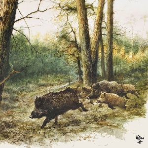 AKAH La table dressée au caractère territorial von AKAH Serviettes de chasse truie 78443000