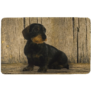 Ceci + Cela pour Revieralarm von AKAH Tapis de sol Teckel 78757001