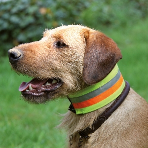 Collier réfléchissant
