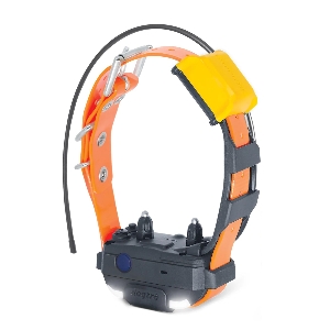 Formation pour chiens et chiens de chasse von AKAH DOGTRA Pathfinder 2 Mini Zusatzhalsband 96427100